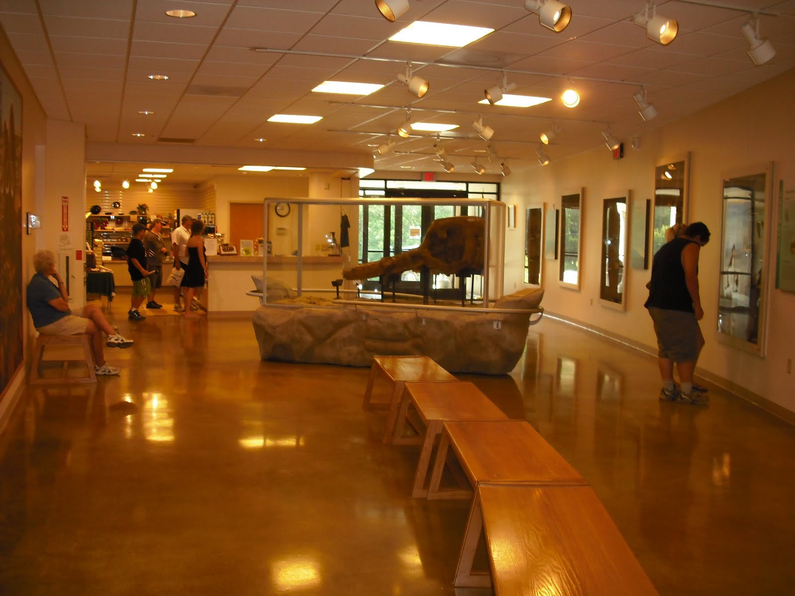 phat booty teen porn big bone lick museum